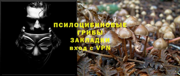 трава Алзамай