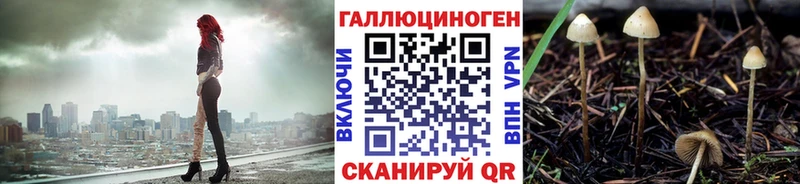 что такое наркотик Люберцы Галлюциногенные грибы Psilocybine cubensis